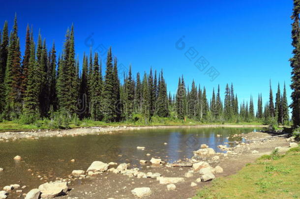巴尔萨姆湖在雷普斯托克山在夏末，雷普斯托克国家公园，不列颠哥伦比亚省，加拿大