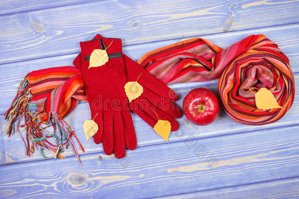 秋季装饰，羊毛手套和披肩为妇女，服装为秋季或冬季