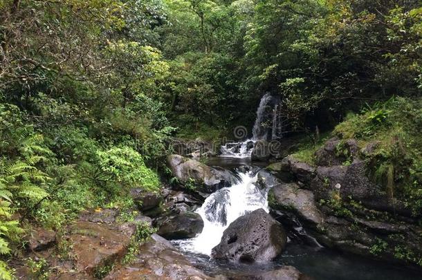 靠近哈纳卡皮亚伊的哈纳卡皮亚溪沿着卡拉劳小径落在夏威夷考艾岛上的雨天和薄雾中。