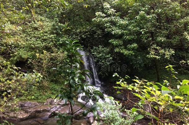 夏威夷考艾岛上，纳帕利海岸的哈纳卡皮亚溪沿卡拉劳小径，雨天和雾天。