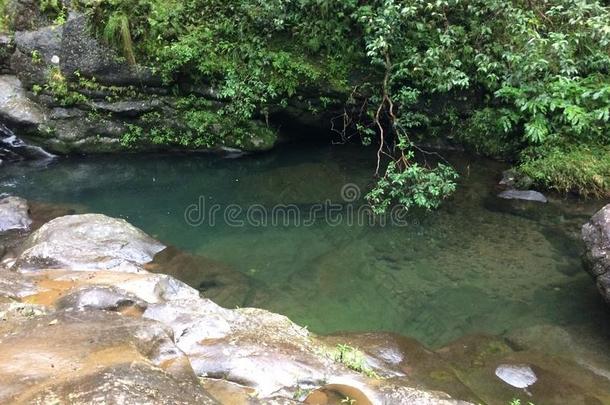 靠近哈纳卡皮亚伊的哈纳卡皮亚溪沿着卡拉劳小径落在夏威夷考艾岛上的雨天和薄雾中。