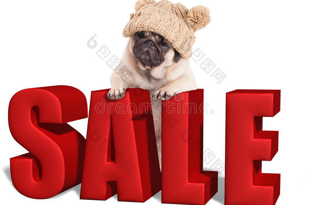 可爱的小狗抱着爪子挂在大红色的销售标志上，孤立在白色的背景上