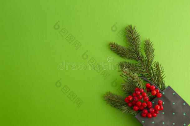 圣诞作文与购物袋，冷杉树枝和玫瑰浆果在绿色<strong>植物</strong>背景。 <strong>俯视</strong>图，平躺