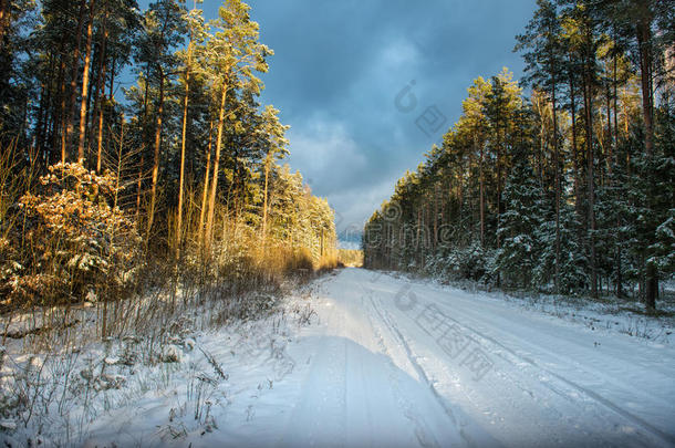 冬季景观中空旷的积<strong>雪路</strong>面