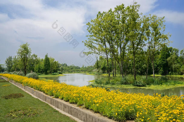 阳光明媚的夏季下午，沿着开花河边的混凝土沟