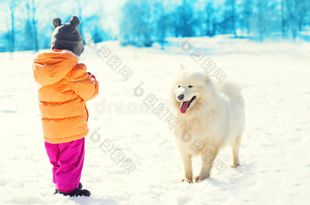 冬天和白色萨摩耶狗一起散步的孩子