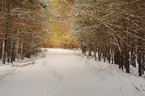 背景美丽的暴风<strong>雪儿</strong>童圣诞节