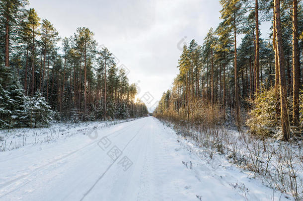 冬季景观中空旷的积<strong>雪路</strong>面