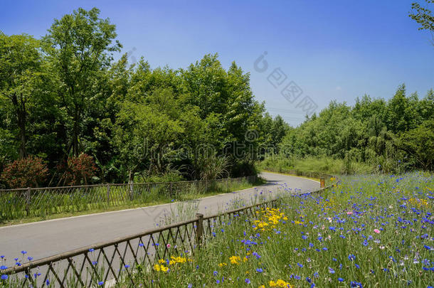 在阳光明媚的夏天中午，树木和鲜花中弯曲的道路