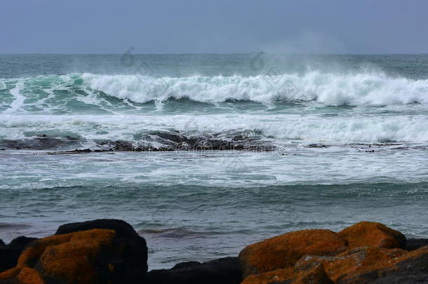 澳大利亚海滩海岸仙女<strong>格里菲斯</strong>