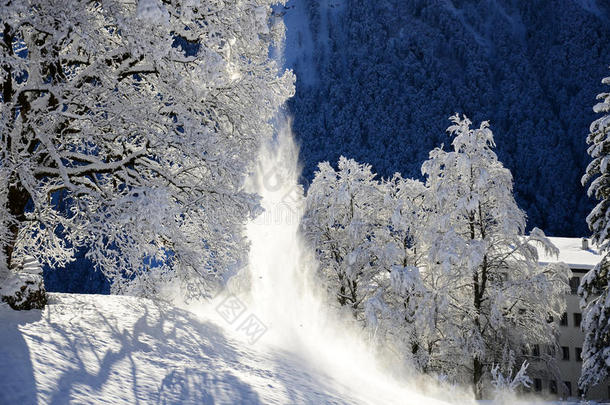 布劳恩瓦尔德在瑞士雪山