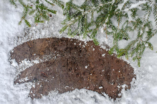 圣诞树上的木板上有雪，冬天的明信片框架背景