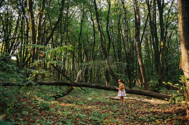 <strong>站在</strong>树林里的女孩的肖像。<strong>熊</strong>
