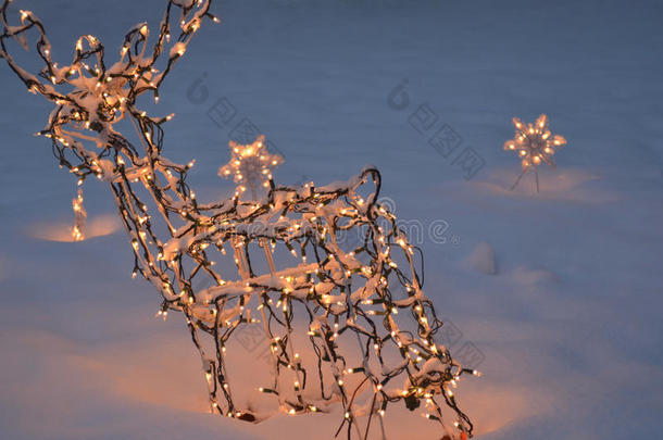 圣诞灯驯鹿装饰雪夜