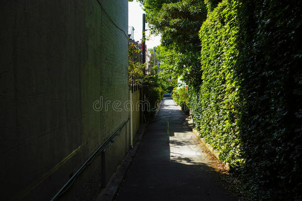 绿色的内城街道，有植物和鲜花