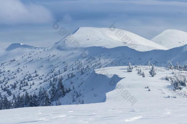 美丽的风景有雪和山