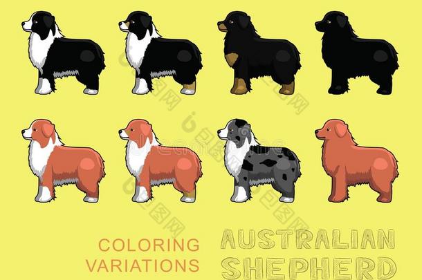 澳大利亚牧羊犬颜色变化矢量插图