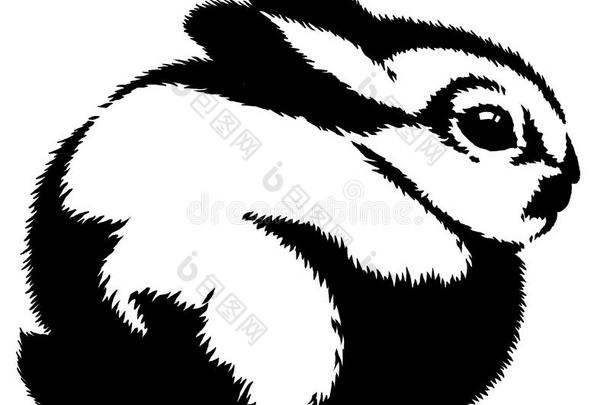 黑白线条画兔图