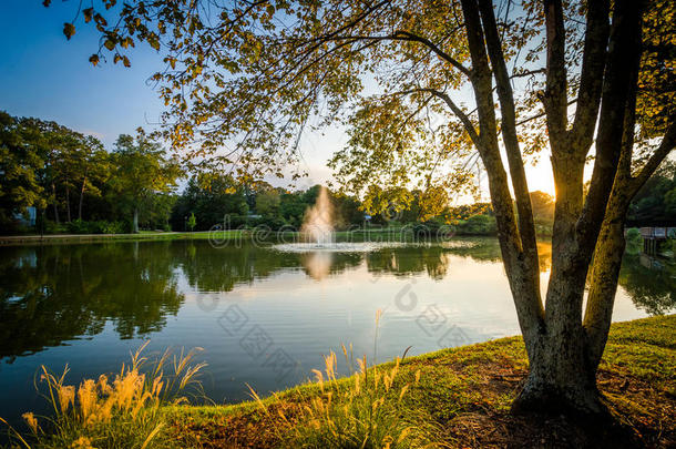 罗斯福威尔逊公园日落时的喷泉和池塘，北卡罗莱纳州戴维森。