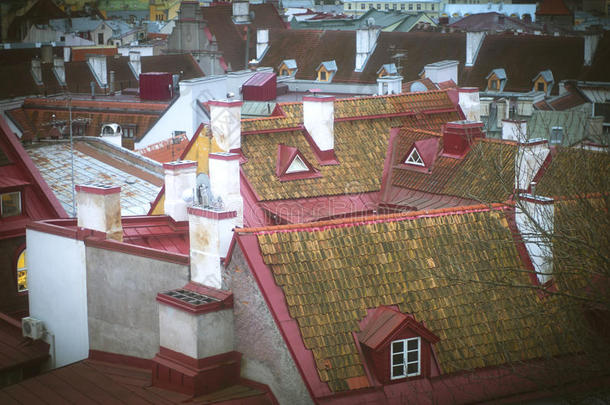 烟囱和老房子的屋顶，爱沙尼亚