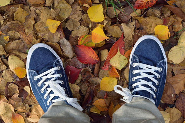 背景双蓝色帆布鞋，秋天落叶