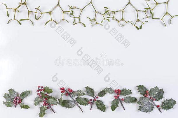 圣诞装饰背景与装饰，冬青，槲寄生和雪覆盖雪松柏树白色