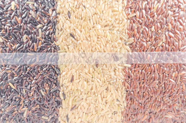 糙米背景