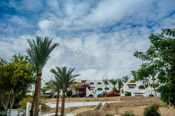 阿雷卡莱斯云房地产房子风景