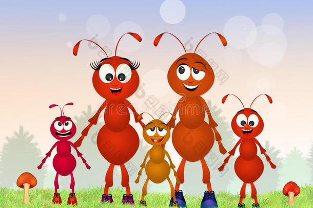 蚂蚁家族