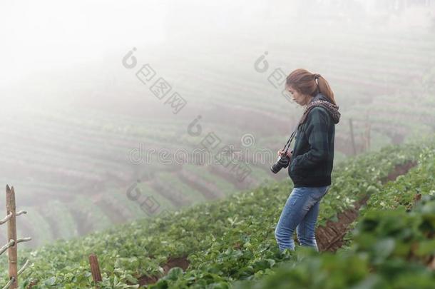 亚洲游客妇女在多安杭山草莓农场