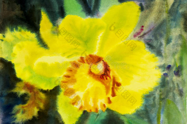 抽象水彩原画兰花花的黄色。