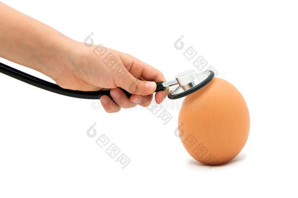 检查一个健康的鸡蛋，鸡蛋与听诊器与白色背景