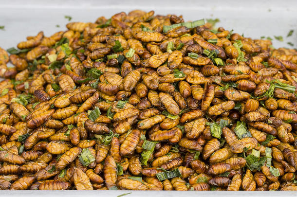 可食用的烘焙和五香粉虫，在泰国街头食品上油炸的虫子。 油炸幼虫是泰国市场上的食品。