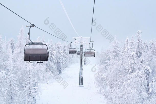 圣诞节前雪中的神奇树木。 森林里寒冷的早晨。 新年快乐。 美丽的日出