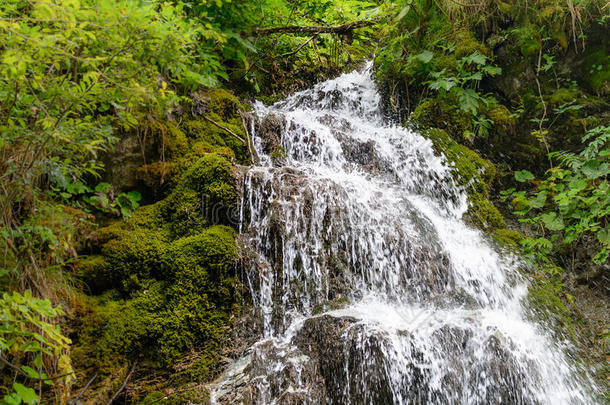 瀑布在岩石悬崖上。 瀑布瀑布瀑布的自然景观。。