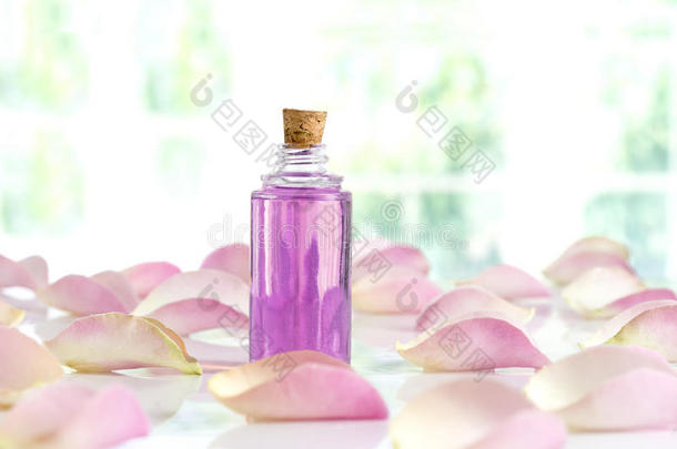 一瓶精油和粉红色玫瑰分离在白色
