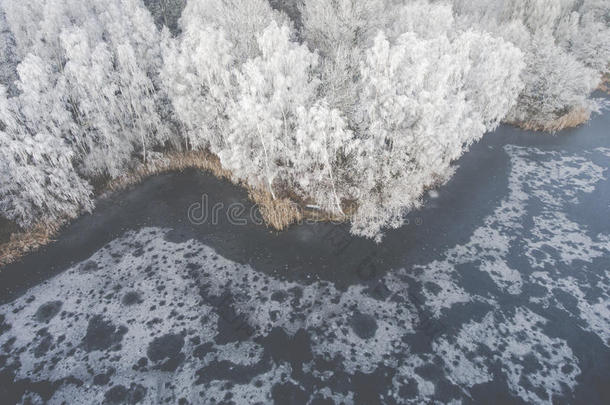 鸟瞰冬季背景与白雪覆盖的森林
