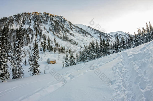 木屋小屋小屋在冬天的森林里下雪