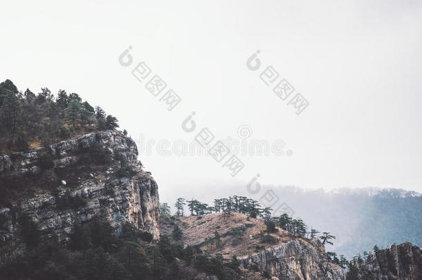 雾状岩石山崖与森林景观