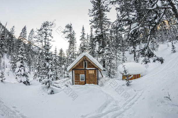 木屋小屋小屋在冬天的森林里下雪