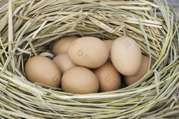 鸡蛋，鸟巢里的鸡蛋
