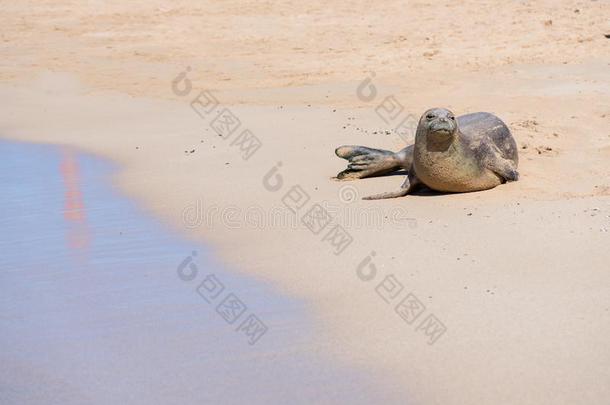 目的地夏威夷夏威夷语和尚海洋