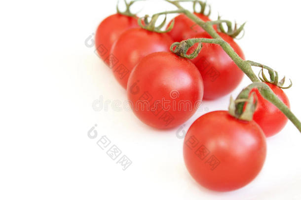 白色的红色西红柿