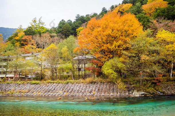 秋色的日本阿尔卑斯山地区