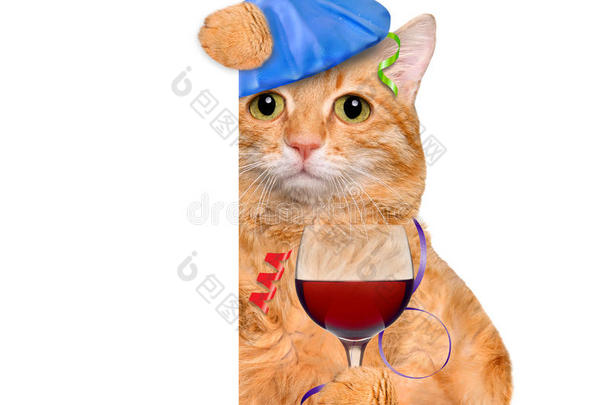 有宿醉和头痛的猫拿着一杯酒，冰袋在头上。