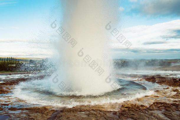 美丽的间歇泉在冰岛喷发
