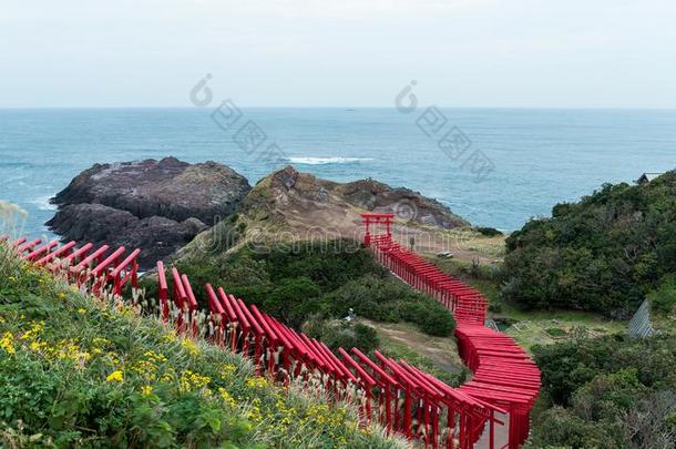 佛教佛教徒海岸钓鱼森林