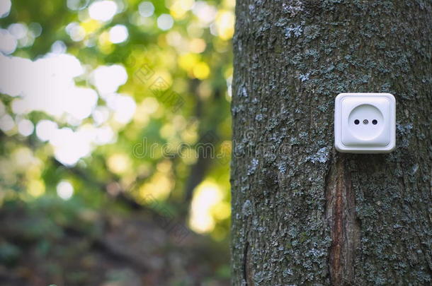 森林树木上的电<strong>插座</strong>。 <strong>绿色</strong>能源概念。