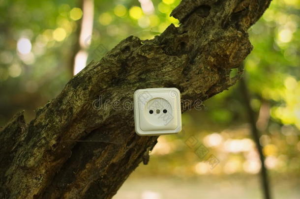 森林树木上的电插座。 绿色能源概念。