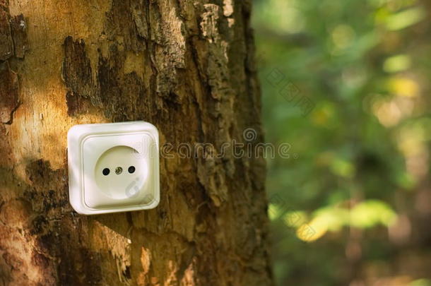 森林树木上的电<strong>插座</strong>。 <strong>绿色</strong>能源概念。